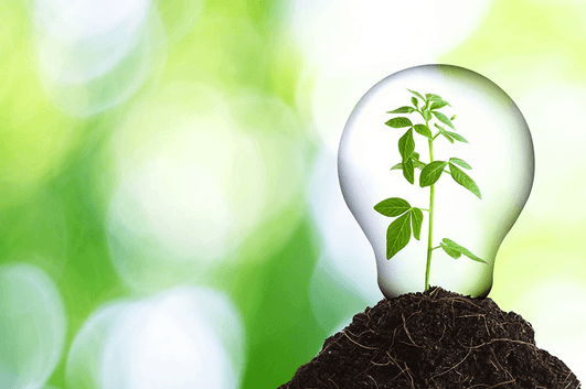 Potensi Bisnis Menjanjikan Dibalik Manfaat dari Bahan Tidak Terpakai