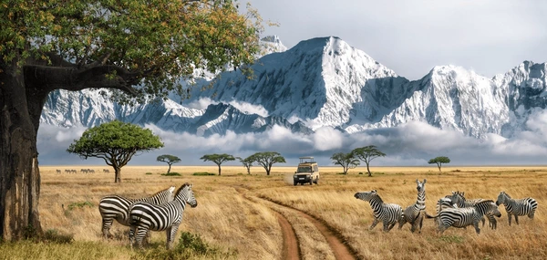 Safari Afrika
