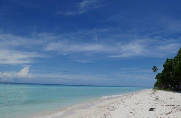 Pulau Pastabulu Hidden Gem Kepulauan Sula