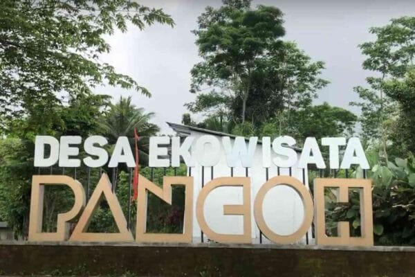 Wisata Alam yang Memanjakan Desa Ekowisata Pancoh
